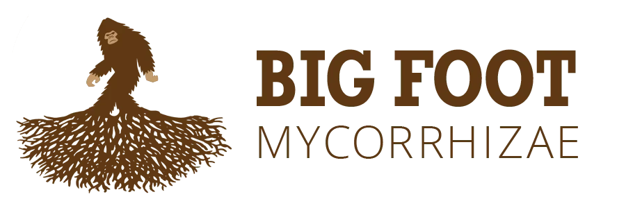 Big Foot Mycorrhizae