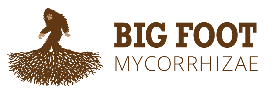 Big Foot Mycorrhizae