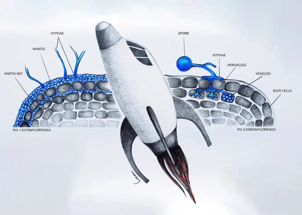 Mycorrhizae is not rocket science — Dr. Mike Amaranthus