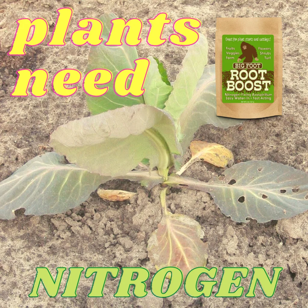 Plants need nitrogen