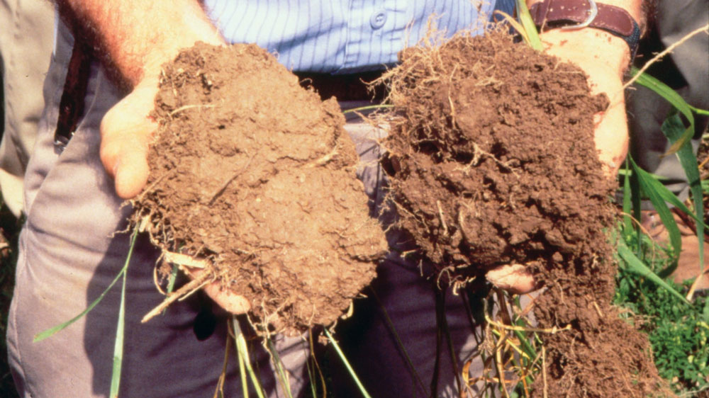 Rodale Institute soil experiment showing mycorrhizal carbon sequestration