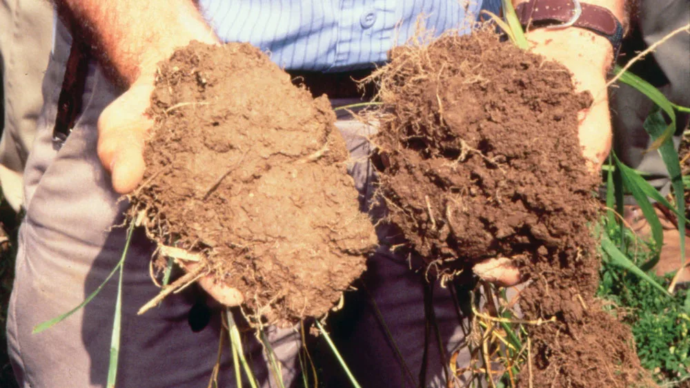 Rodale Institute soil experiment