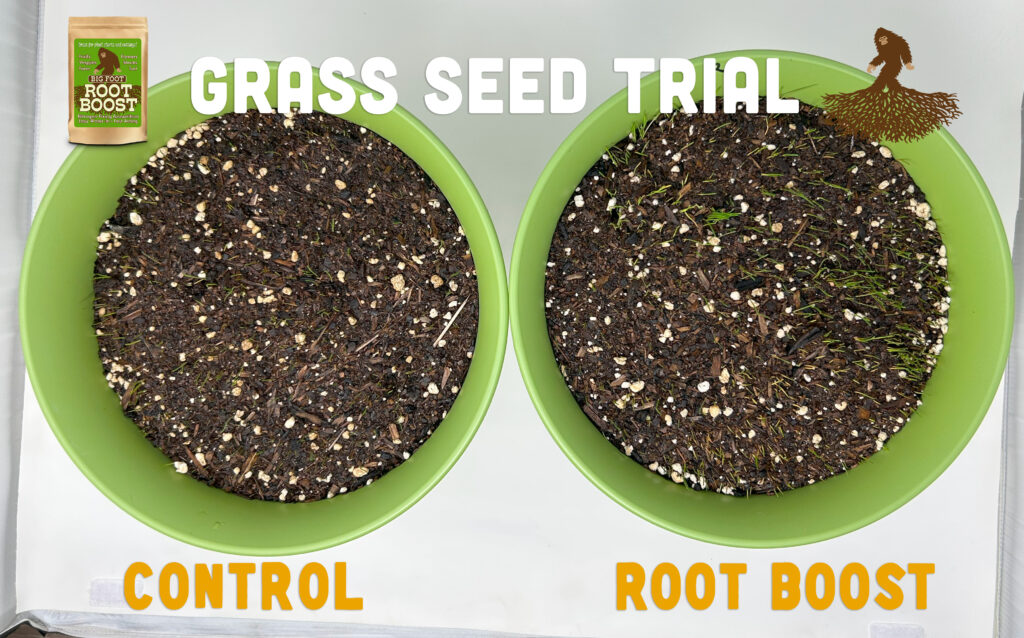 Big Foot Root Boost lawn trial comparison