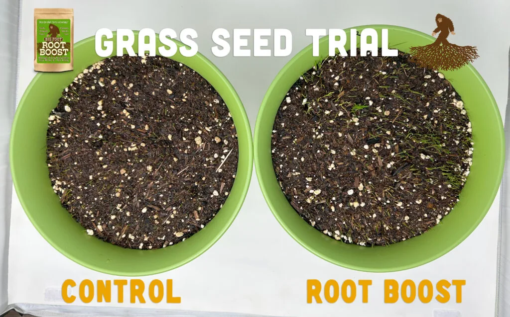 Root Boost lawn trial