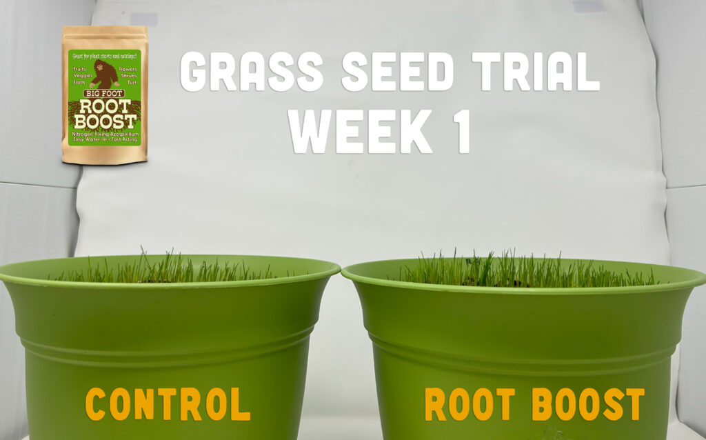 Week 1: Root Boost trial