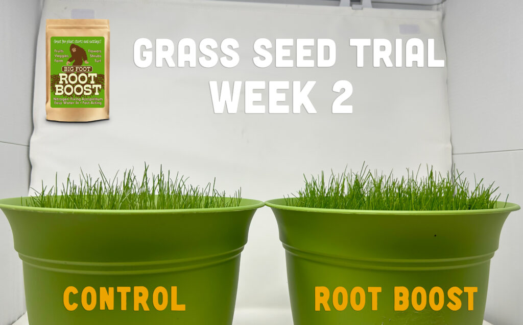 Week 2: Root Boost trial