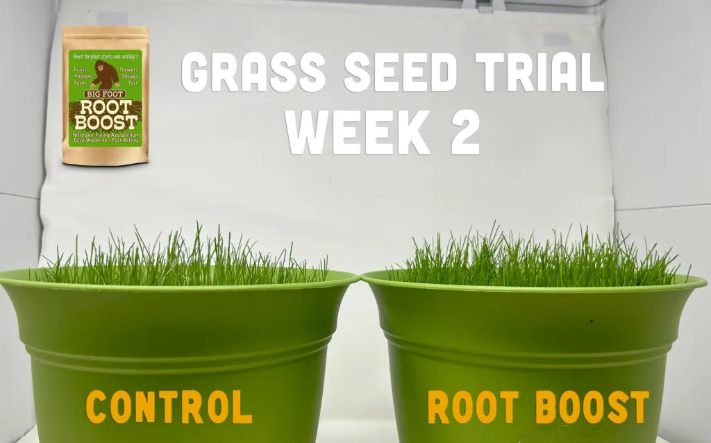 Week 2: Root Boost trial