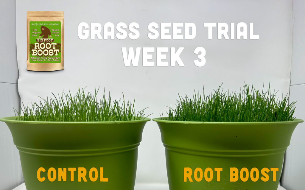 Week 3: Root Boost trial
