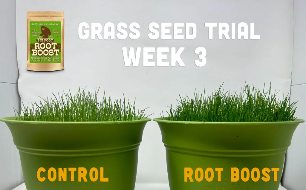 Week 3: Root Boost trial