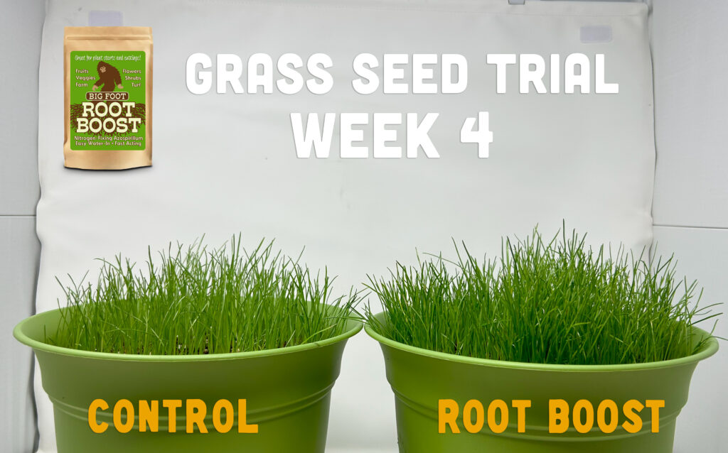 Week 4: Root Boost trial