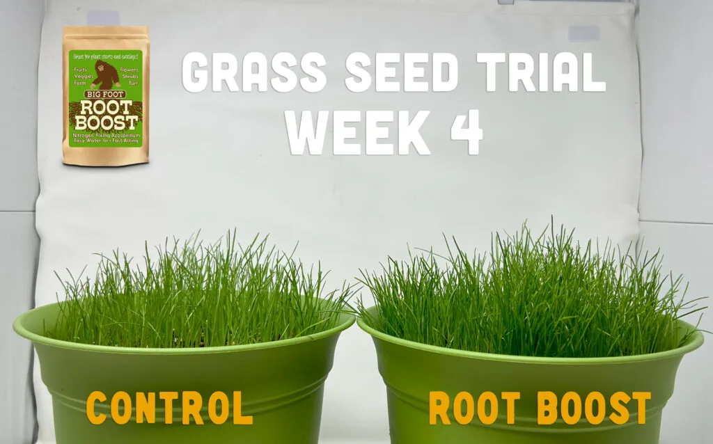 Week 4: Root Boost trial