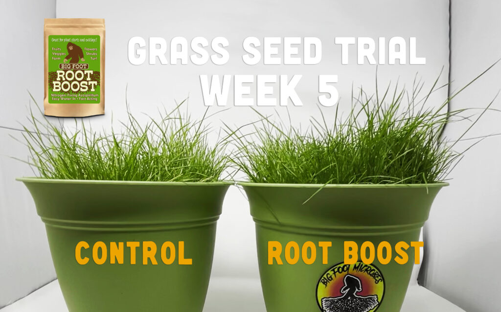 Week 5: Root Boost trial