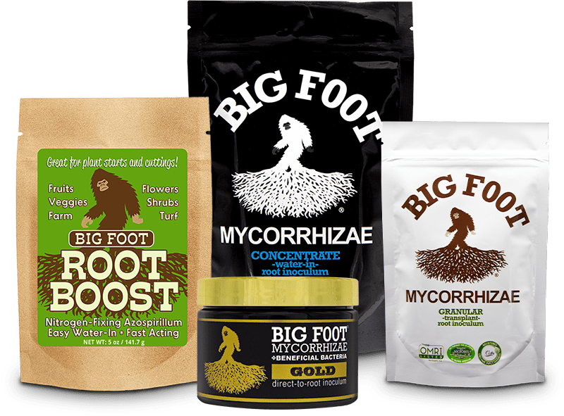 Big Foot product lineup